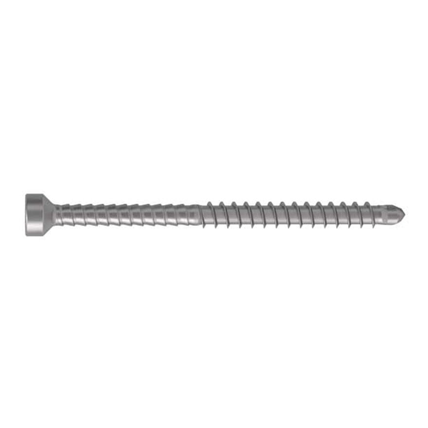 3.5x50 S2 316 Stainless Timber Panel Screw TX20 (6636754)
