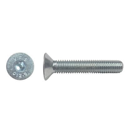 12x40 Csk Head Socket Screw 10.9 ZP